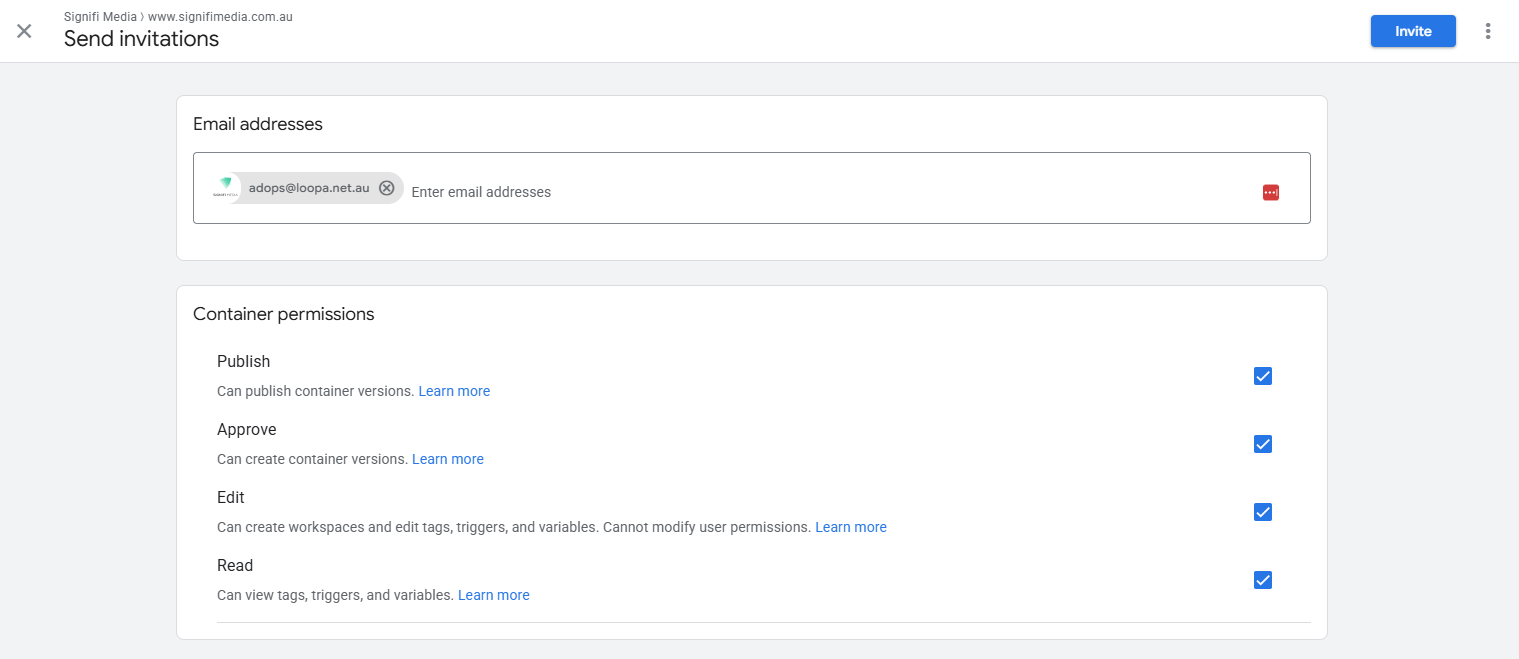 Google Tag Manager container permissions with the Publish role selected